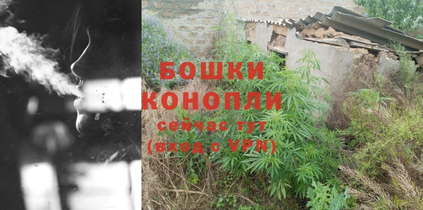 шишки Волоколамск