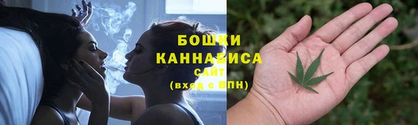 шишки Волоколамск