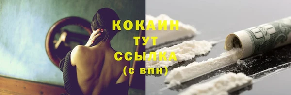 шишки Волоколамск