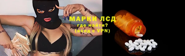 прущие грибы Володарск