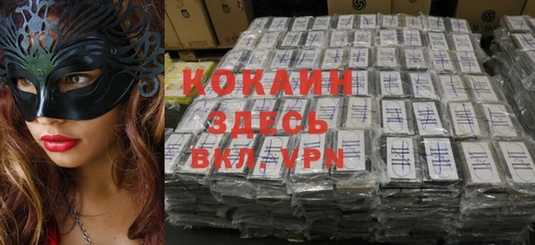 прущие грибы Володарск