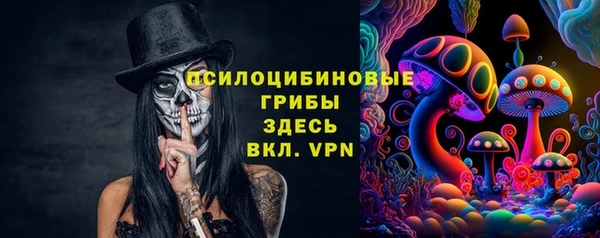 mdpv Верея