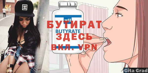 дмт Бородино