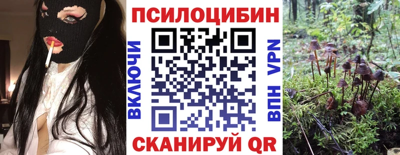 Псилоцибиновые грибы Psilocybine cubensis  дарк нет наркотические препараты  Инза 